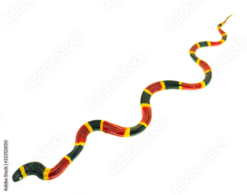 Coral snake toy