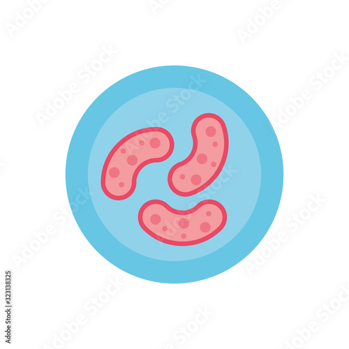 petri dish with bacteria germs, flat style icon