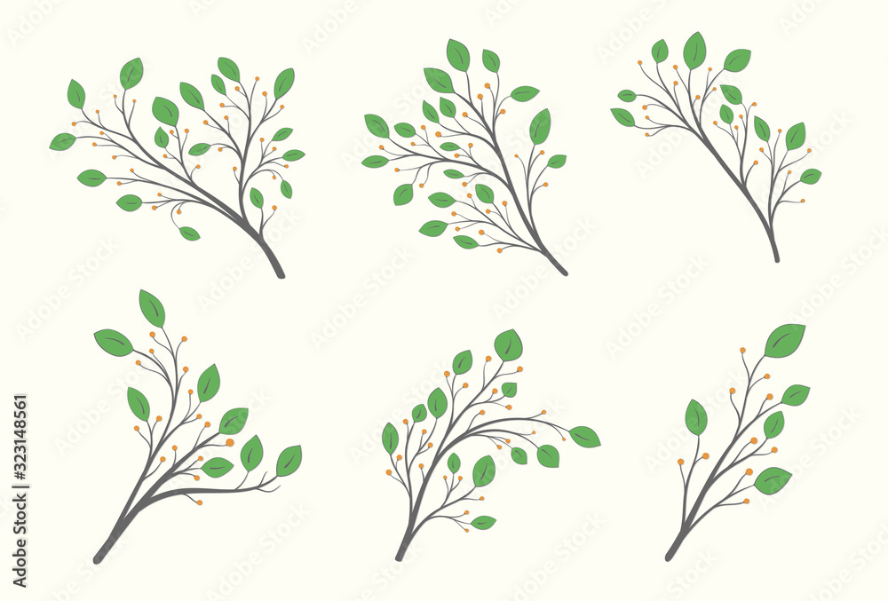 Set of branches with green leaves of different shapes and orange berries on a light background