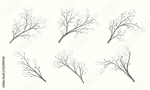 A set of branches with leaves of different shapes and berries in a gray tone on a notebook sheet in vintage style