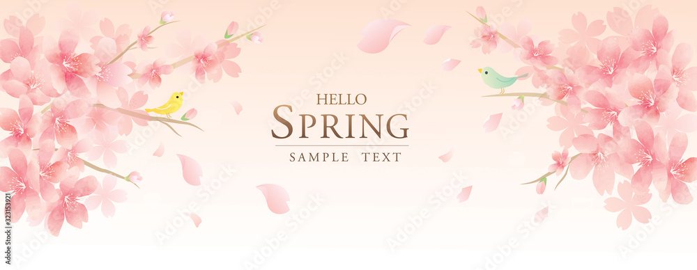 春の花　桜　　Luxury　spring flowers　background - obrazy, fototapety, plakaty 