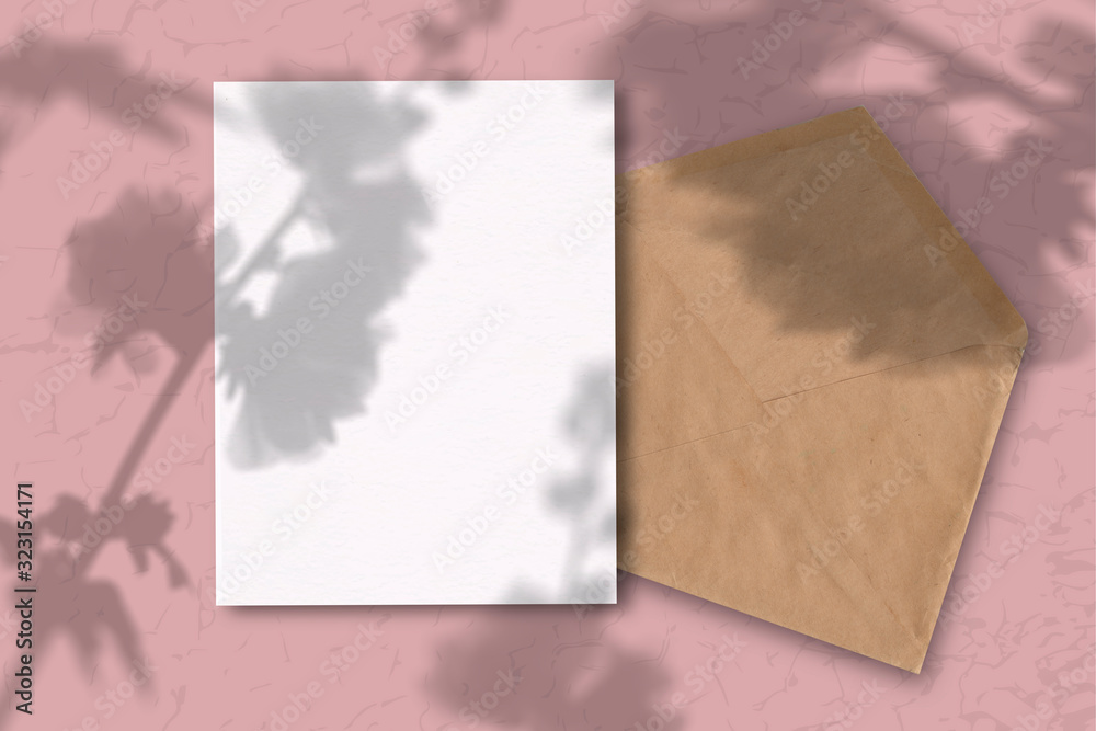 An envelope with a sheet of white paper on a pink background. Mockup with overlay of plant shadows . Natural light casts the shadow of field plants and flowers from above An envelope with a sheet of white paper on a pink background. Mockup with overlay of plant shadows . Natural light casts the shadow of field plants and flowers from above