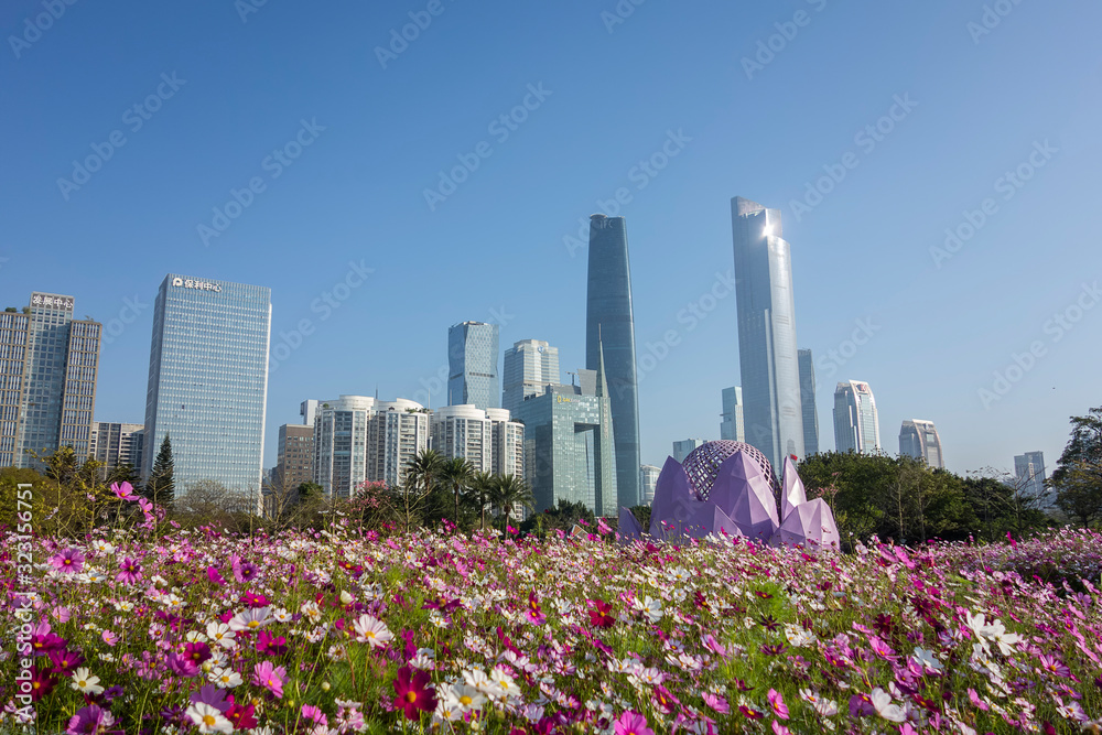 Flowers and skyscrapers in Guangzhou Park, China Flowers and skyscrapers in Guangzhou Park, China