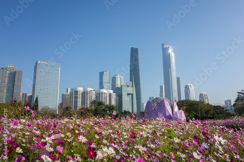 Flowers and skyscrapers in Guangzhou Park, China © zhonghui