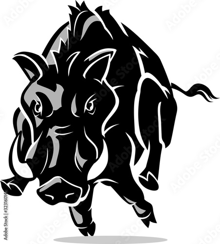 Lunge Attack Wild Boar or Hog Shadowed Illustration