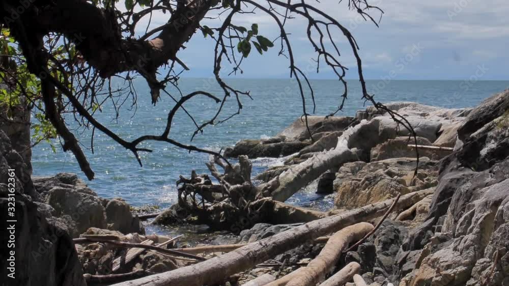 Slow motion rocky beach of Vancouver with driftwood. Slow motion rocky beach of Vancouver with driftwood.