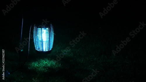 Bugs flying and crawling up and around the bug zapper at night.