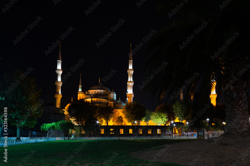Blue Mosque in the city of Istanbul at night, Turkey
