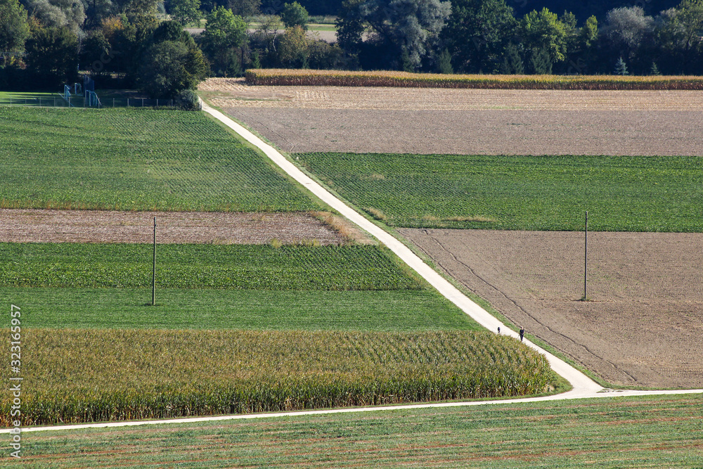 Obraz premium Country Road