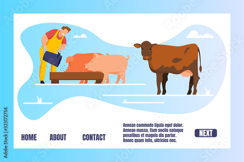 Animal Husbandry Horizontal Banner. Man Feeding Pigs and Cow Putting Grain in Trough Farmer Caring of Domestic Livestock at Farm. Agriculture, Rancher Seasonal Work. Cartoon Flat Vector Illustration