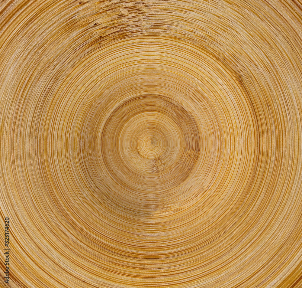 wood texture surface bamboo rings circles wood texture surface bamboo rings circles