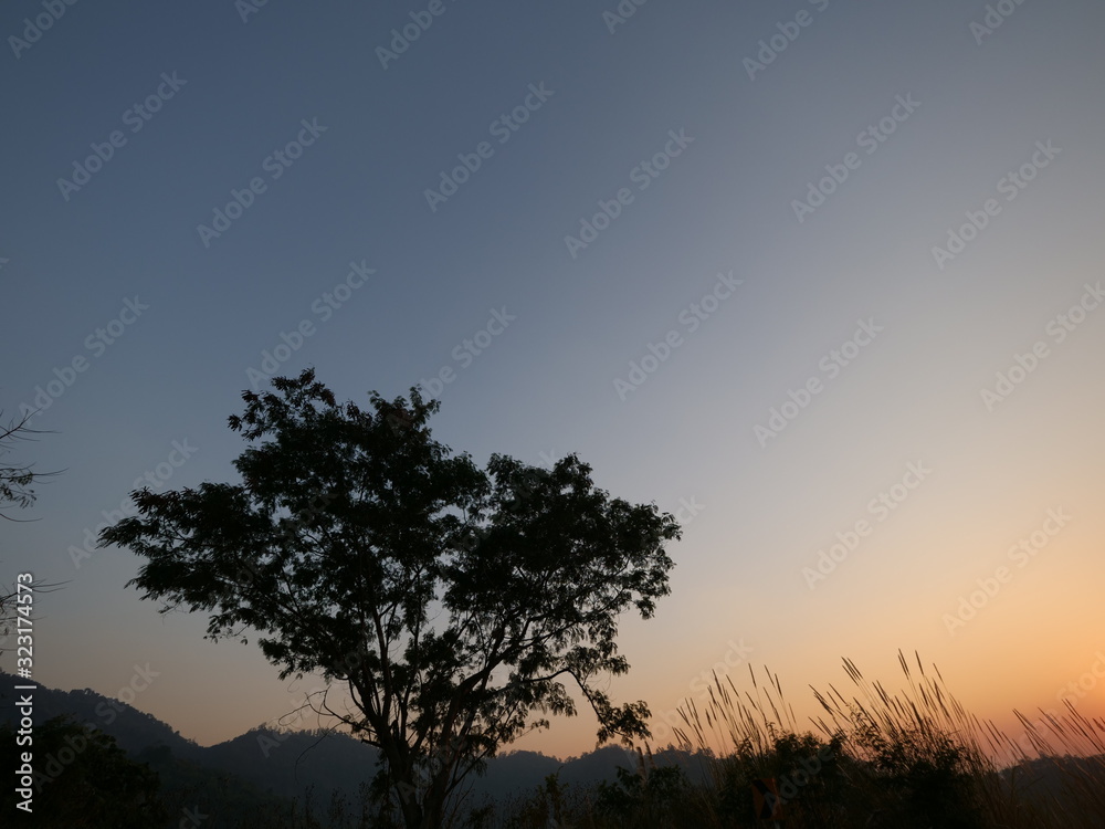 Mountain and autumn trees and golden hoursunset colors epic glory