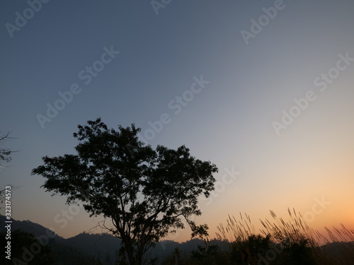 Mountain and autumn trees and golden hoursunset colors epic glory