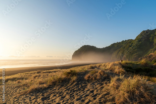 View of grass covered sand dunes at Piha beach