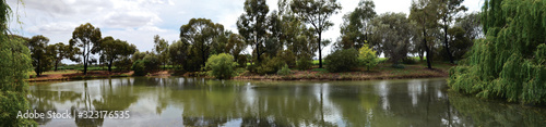 Perricoota vines lake, Panoramic photo