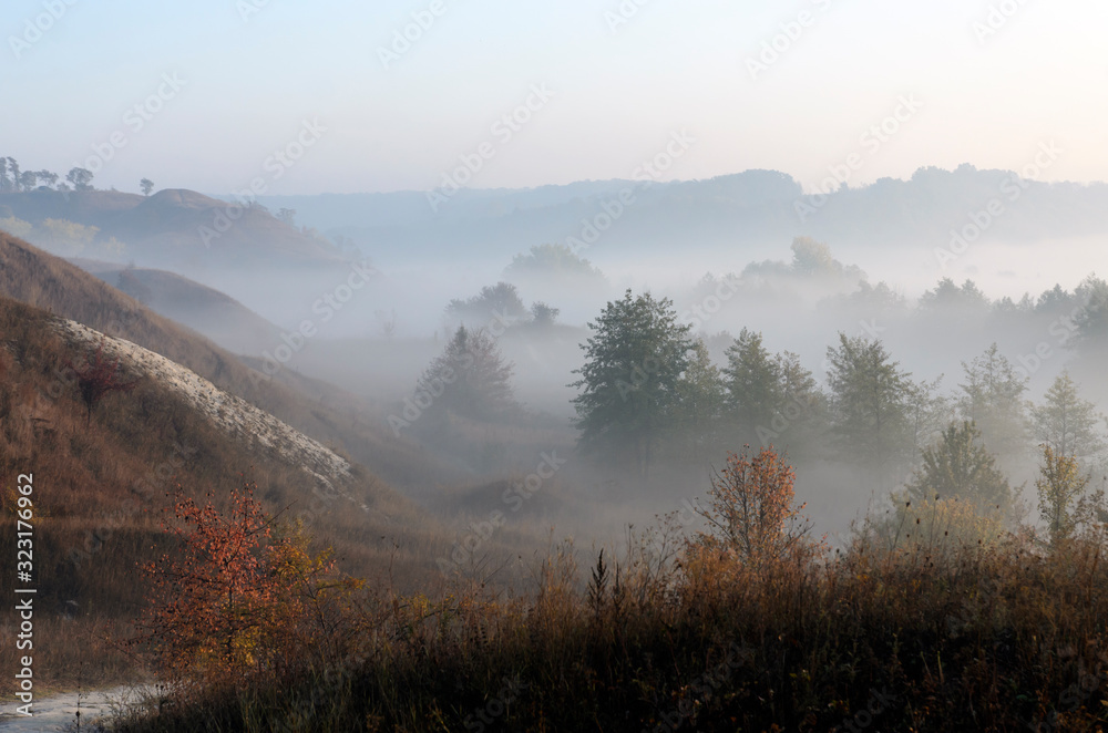 Morning fog on the hills and trees, the magical state of nature, the golden hour of love.