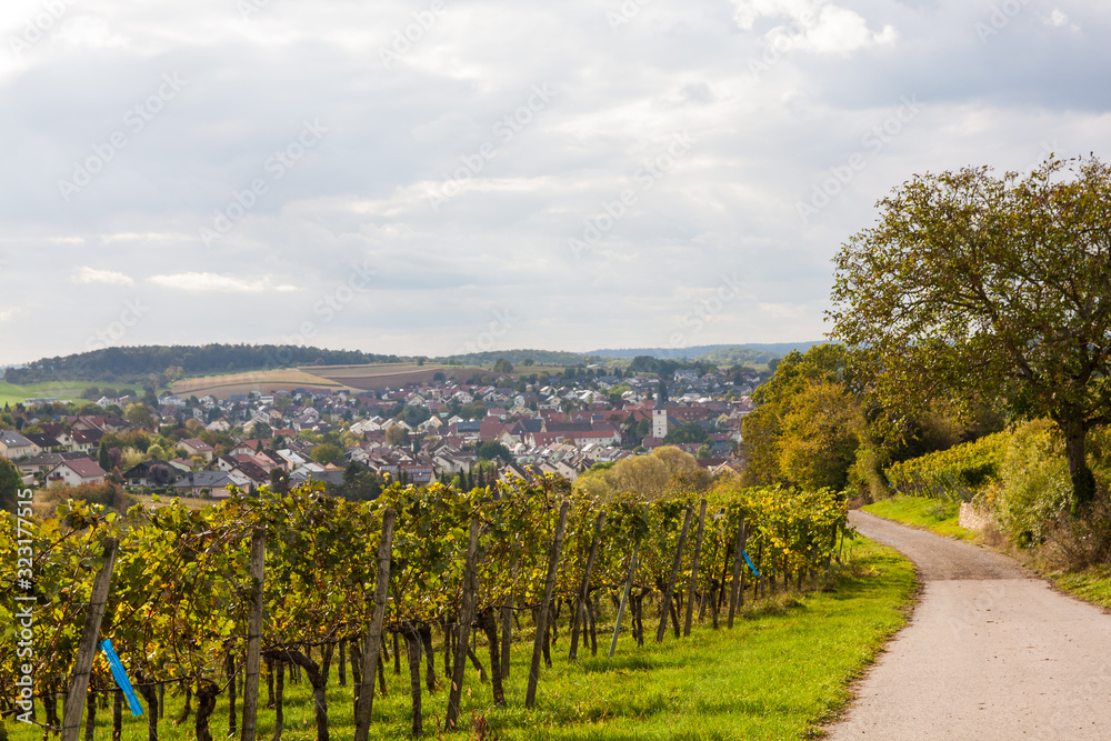 Naklejka premium Weinberg im Kraichgau