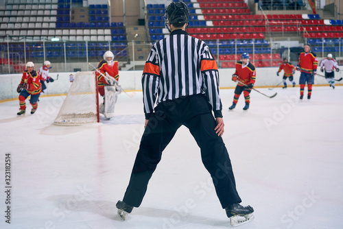 Photography hockey referee during the game