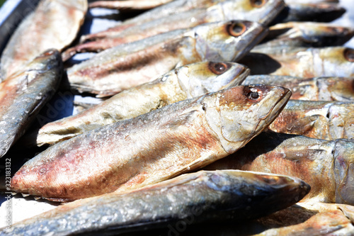 Close up of salt mackerel over sun light.