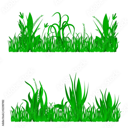 Vector illustration of grass, natural grass elements isolated white background for templates..