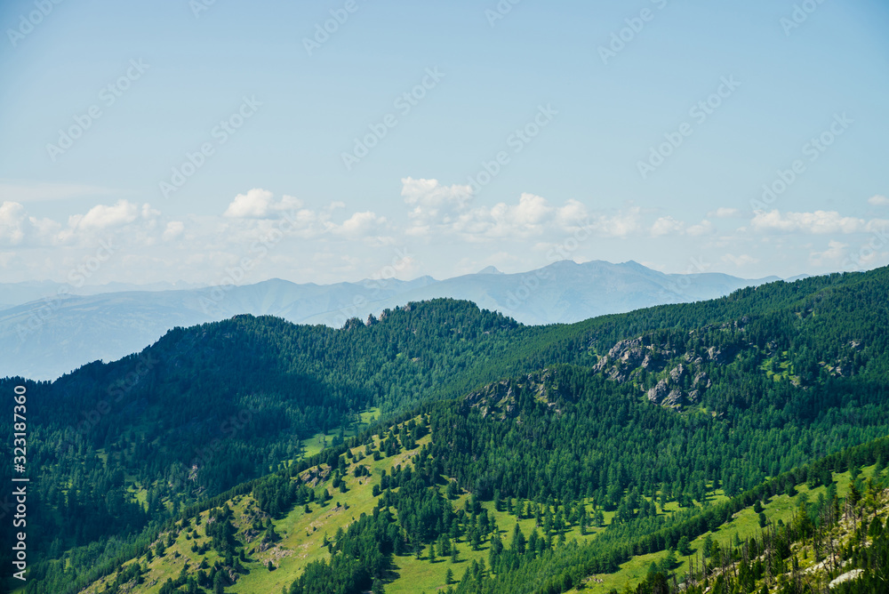 Scenic aerial view to green forest hills and long mountain range under blue sky. Awesome minimalist alpine landscape of vast expanses. Wonderful vivid highland scenery with great mountains and forest.