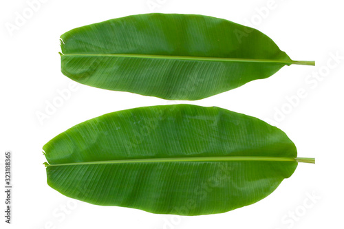 Banan leaf on white background with clipping path.