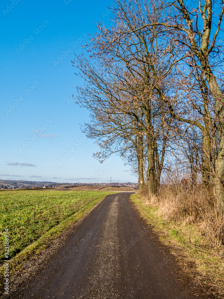 road in the field