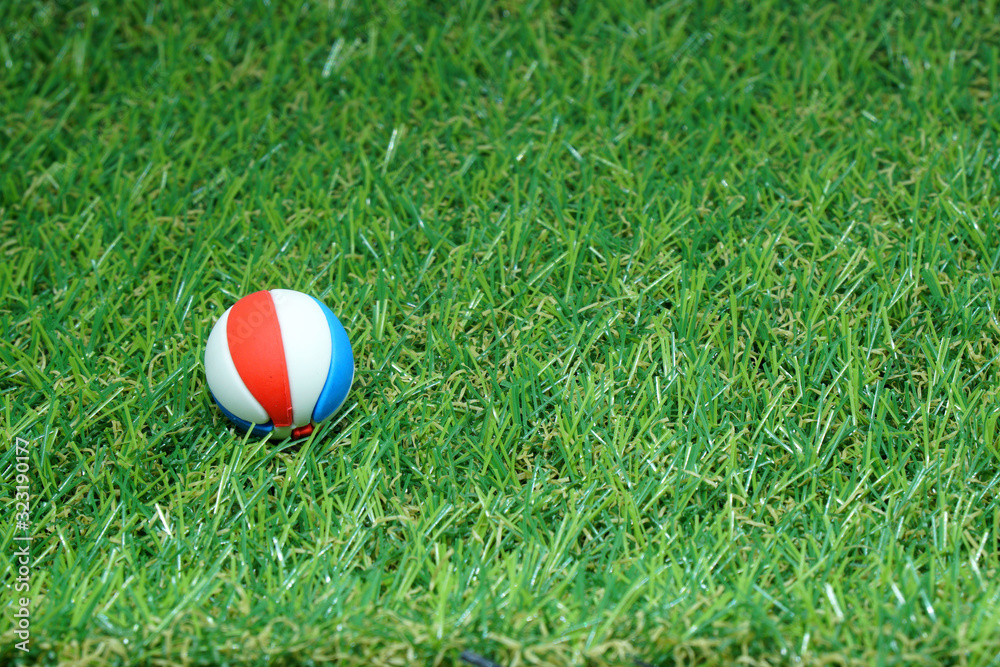 Volleyball on green grass background - Sport 2020 Concept 