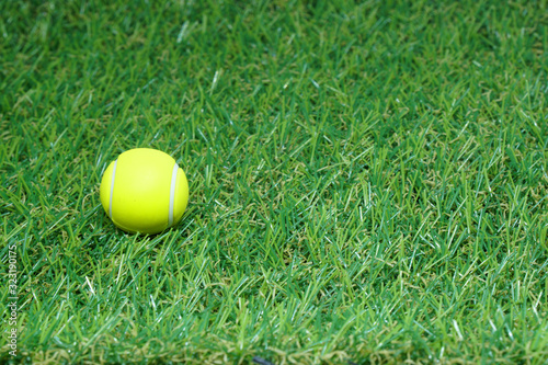 tennis on green grass background - Team Sport Activity Concept  © kittinit