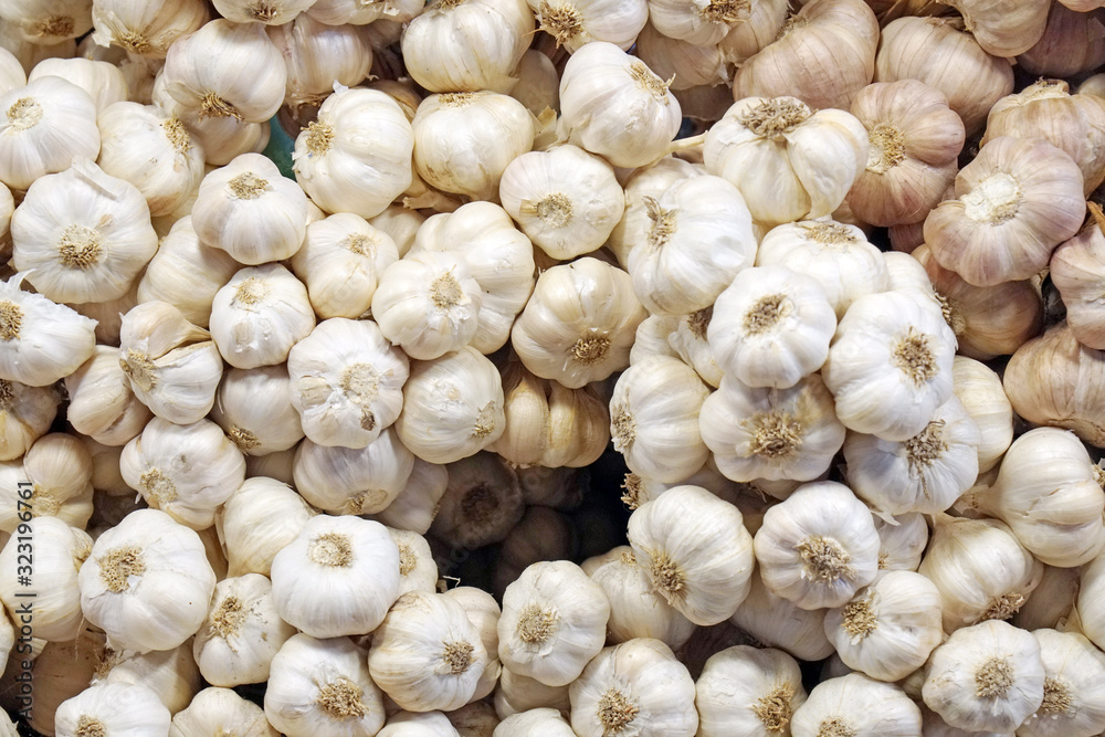 Vegetable scene - fresh white raw garlic in market - Plant backdrop and beautiful detail - Food health and Herb Concept Vegetable scene - fresh white raw garlic in market - Plant backdrop and beautiful detail - Food health and Herb Concept