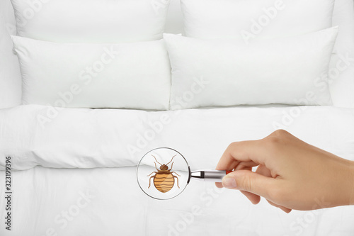 Woman with magnifying glass detecting bed bug, closeup
