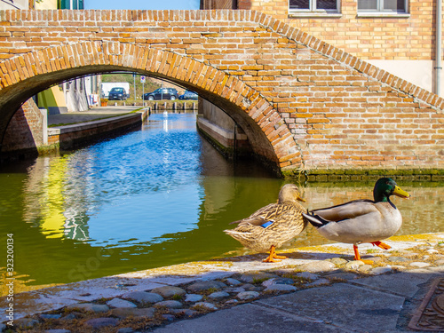 Canali e ponti a Comacchio, Emilia Romagna, Italia, con cielo blu senza nuvole photo