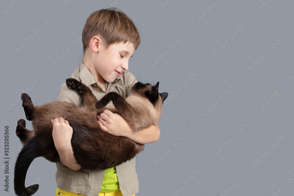 Portrait of a child with a cat. A boy with a Siamese cat.