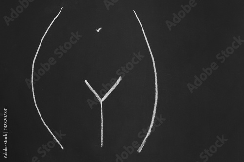 womb or female pubic area or region without pubic hair - simple minimalist line drawing with chalk on blackboard