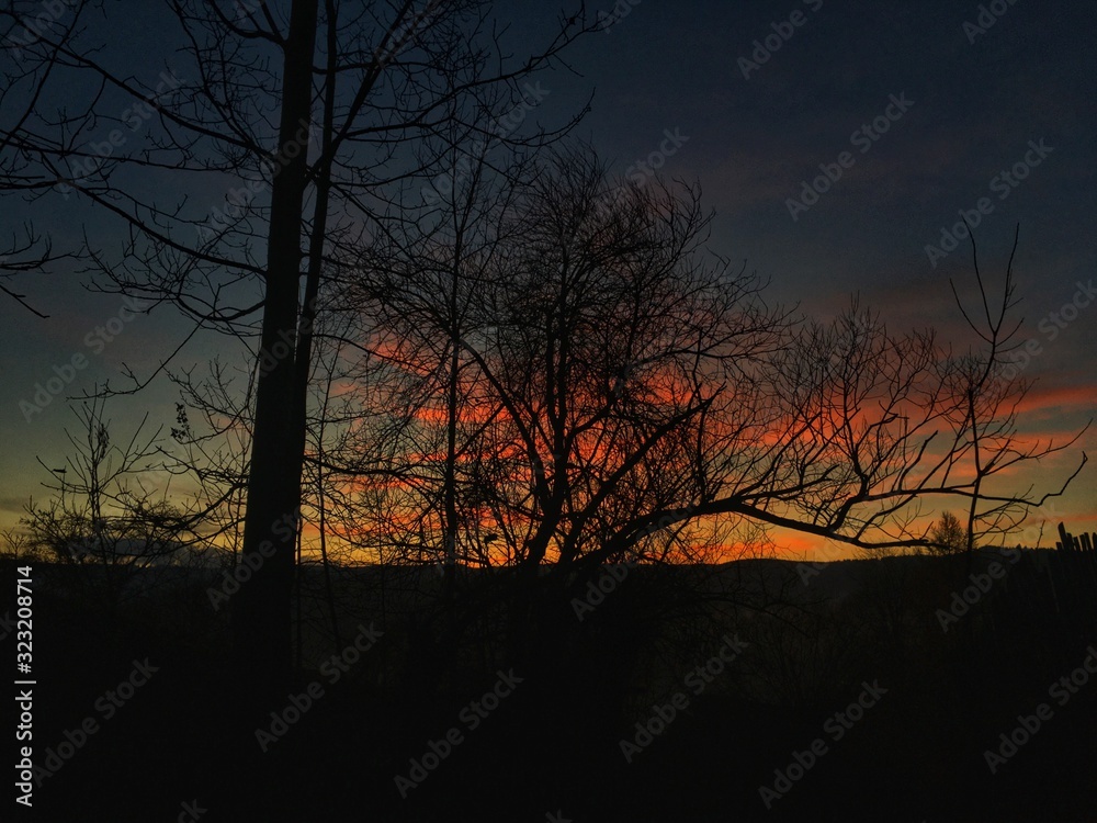 sunset in forest sunset in forest