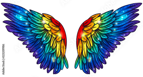 Beautiful magic shiny glittery rainbow wings, hand drawn vector