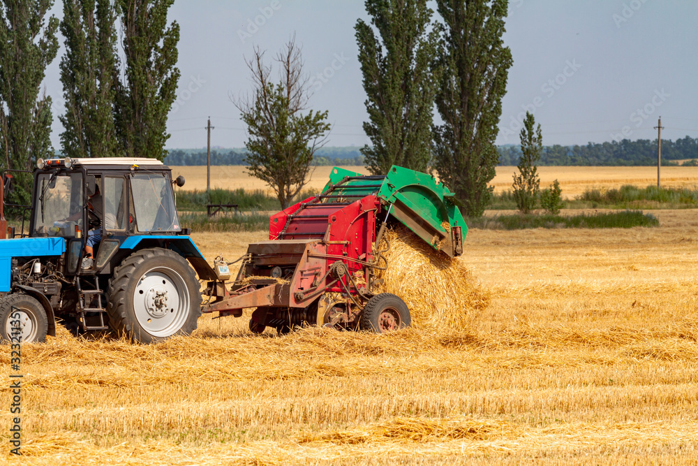 Obraz premium tractor makes big straw roll on yellow field at summer day