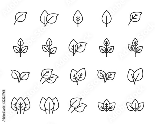 set of  leaf icons  branch  nature  plant  spring