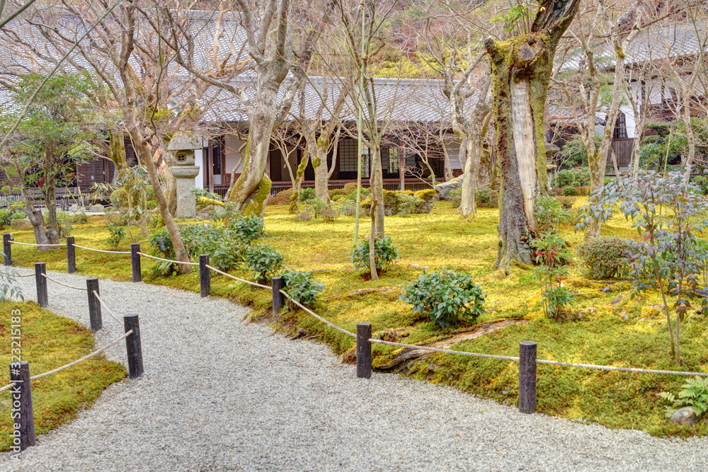圓光寺の十牛の庭