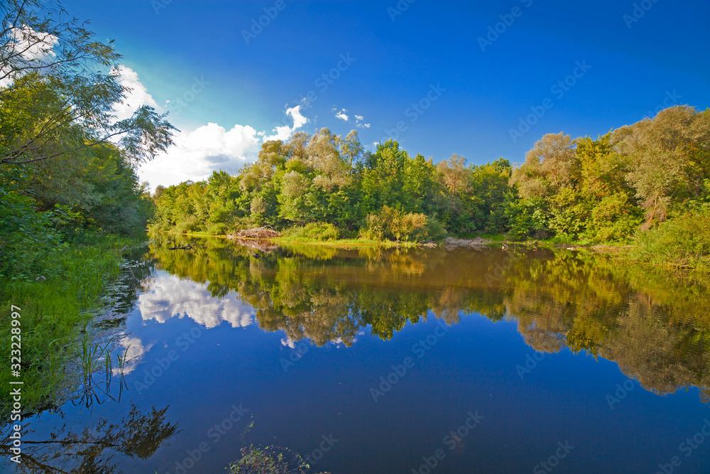 summer landscape with river sky and surrounding plants