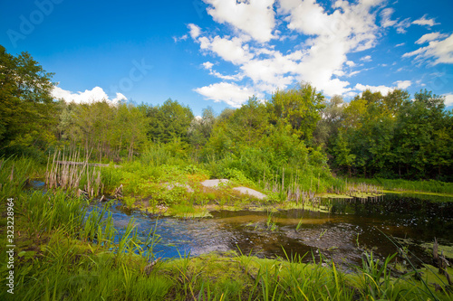 summer landscape with river sky and surrounding plants