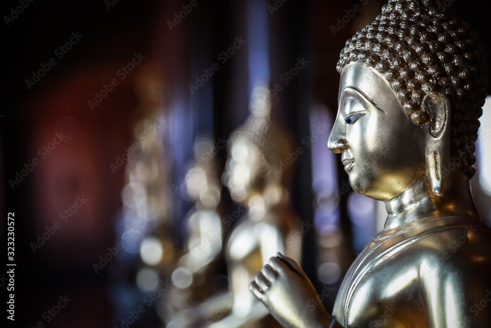 Selective focus close-up shots of of the Buddha images with soft light and layout design for a beautiful religious background. Selective focus close-up shots of of the Buddha images with soft light and layout design for a beautiful religious background.