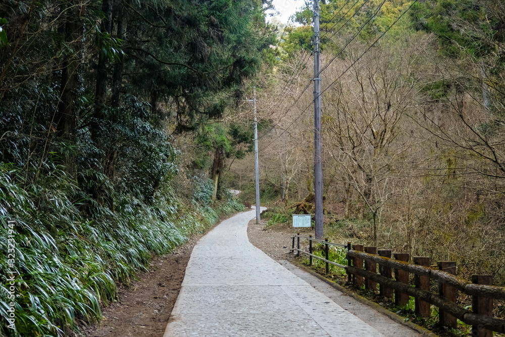 Obraz premium 高尾山 1号路