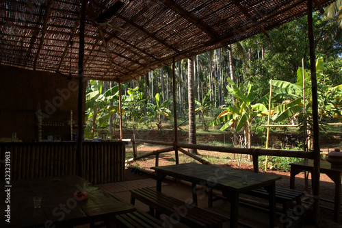 dining in the jungle