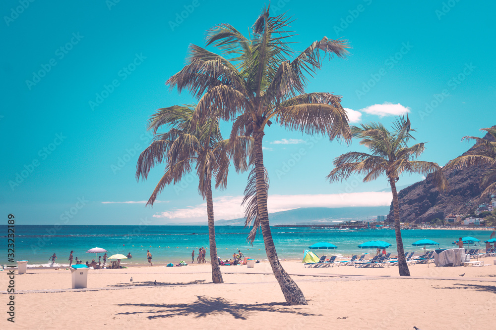 Obraz premium Beach with palm trees on the ocean shore