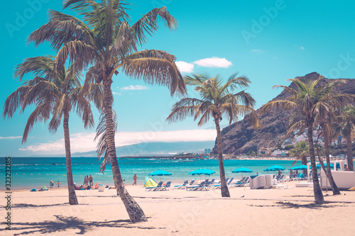 Beach with palm trees on the ocean shore