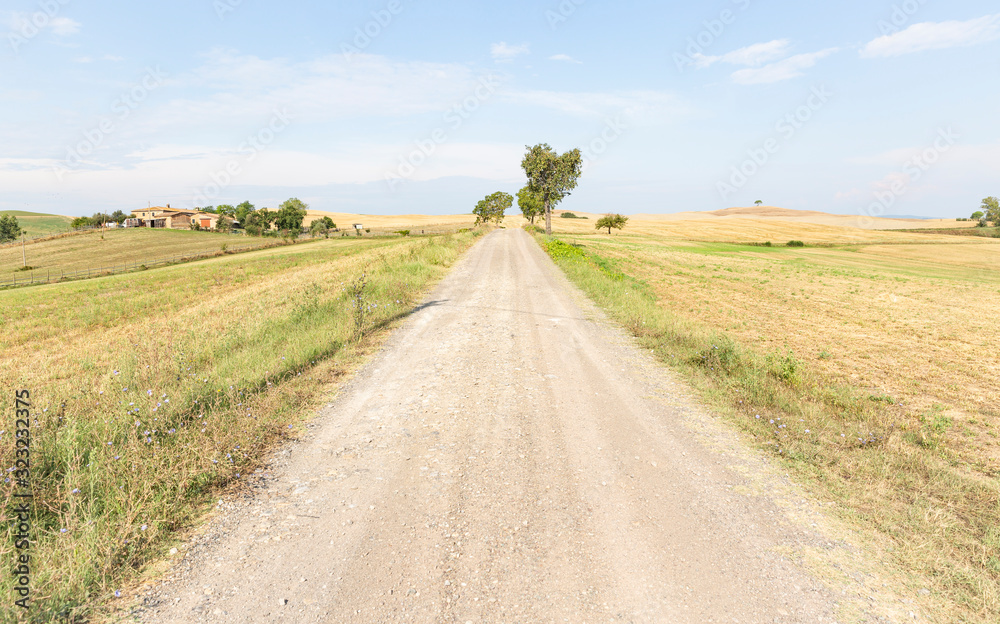 a gravel road through agricultural fields next to Ponte a Tressa (Monteroni d'Arbia), province of Siena, Tuscany, Italy