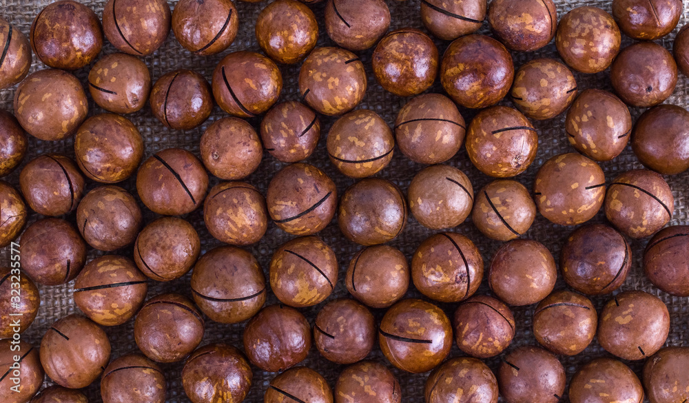 Macadamia nuts closeup on burlap background. Top view. Healthy eating concept, the prevention of heart disease, cosmetology. Macadamia nuts background texture. Macadamia nuts closeup on burlap background. Top view. Healthy eating concept, the prevention of heart disease, cosmetology. Macadamia nuts background texture.
