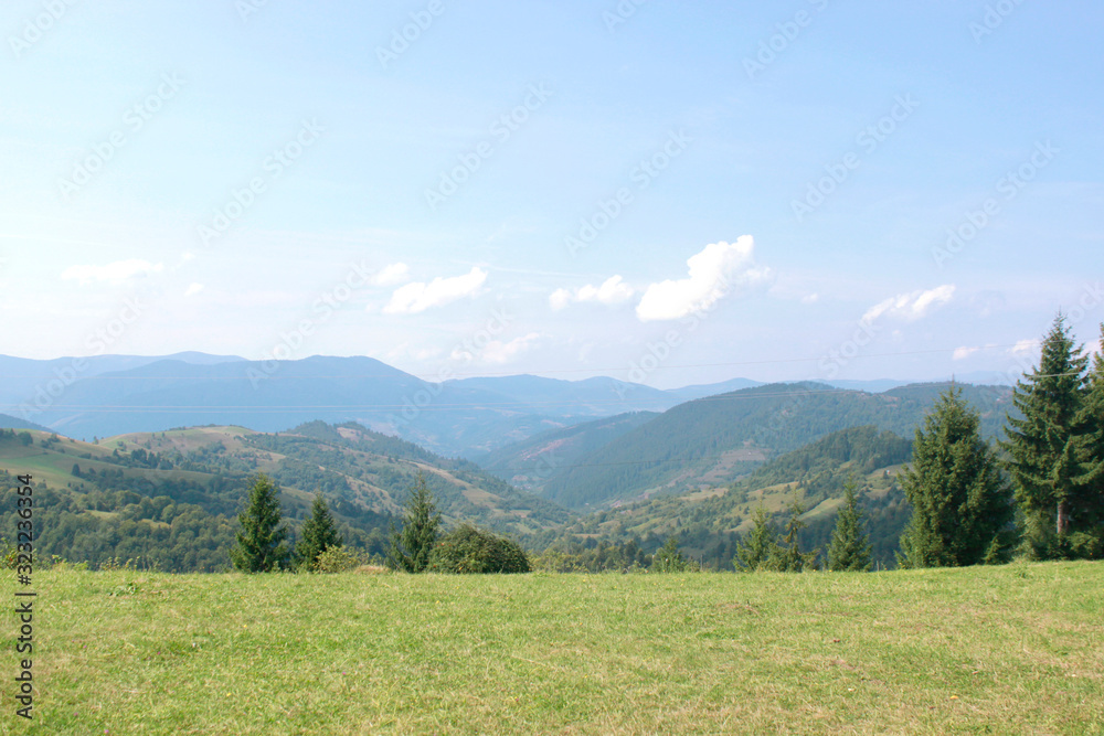 Summer landscape of Ukrainian Carpathians. Forest in the mountains of eastern Europe.