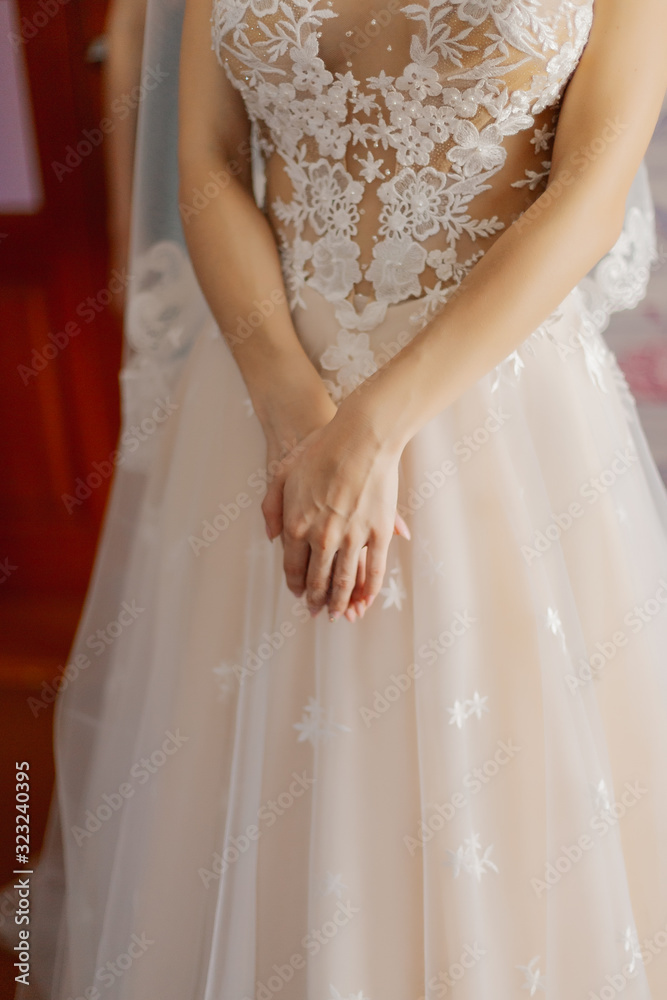 Young bride hands on a wedding dress. Young bride hands on a wedding dress.